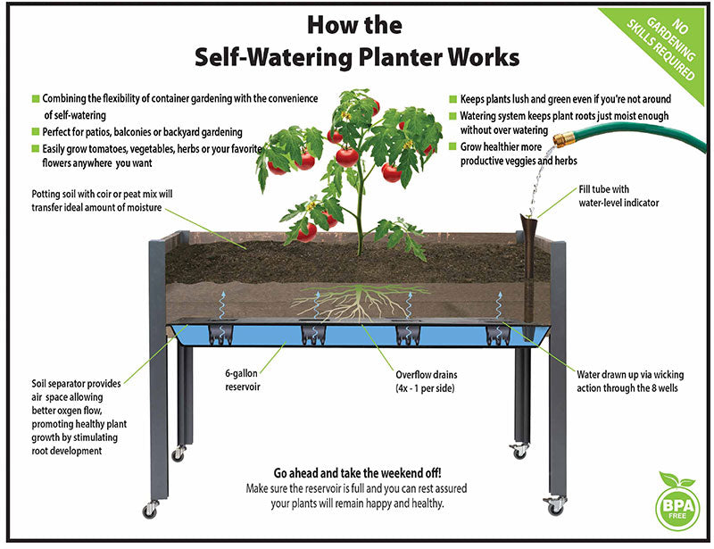 outdoor planter self watering Self-Watering Elevated Spruce Planter (21" x 47" x 32"H) + Casters