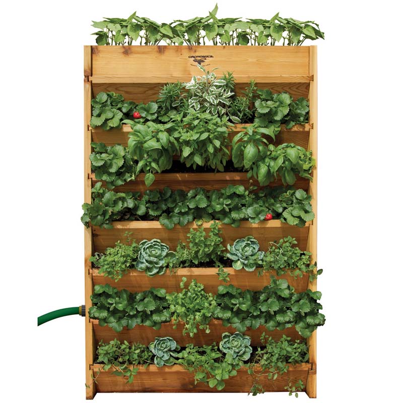 Live wall planter