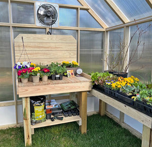 Inside of Amish Greenhouse