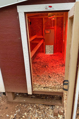 Automatic Chicken Coop Door