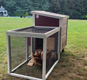 OverEZ Chicken Coop in a Box with Chickens