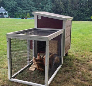 OverEZ Chicken Coop in a Box with Chickens