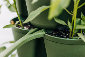 Set of 3 GreenStalk Plant Supports