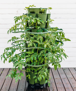 Set of 3 GreenStalk Plant Supports
