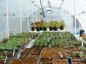 Inside of Solexx Conservatory Greenhouse