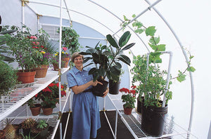 Solexx Harvester Greenhouse with healthy plants