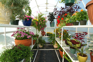 Solexx Gardener's Oasis Greenhouse interior 