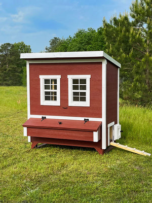 Walk-in-chicken Coop in yard