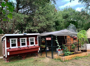 OverEZ Chicken Coop - XL with Run