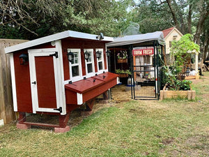 OverEZ Chicken Coop - XL in Yard