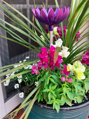 Jazmine Root Waterer in Violet used in a deck planter with violet flowers