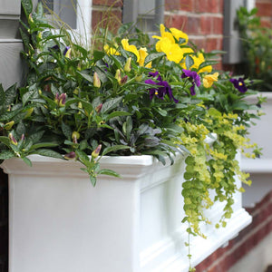 Fairfield 4ft Window Box