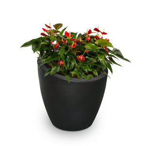 Modesto 20" Round Planter - Black