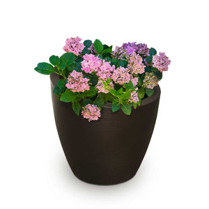 Modesto 20" Round Planter - Espresso