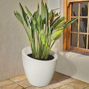 Modesto 20" Round Planter