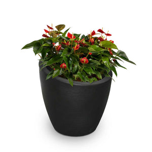 Modesto 30" Round Planter - Black