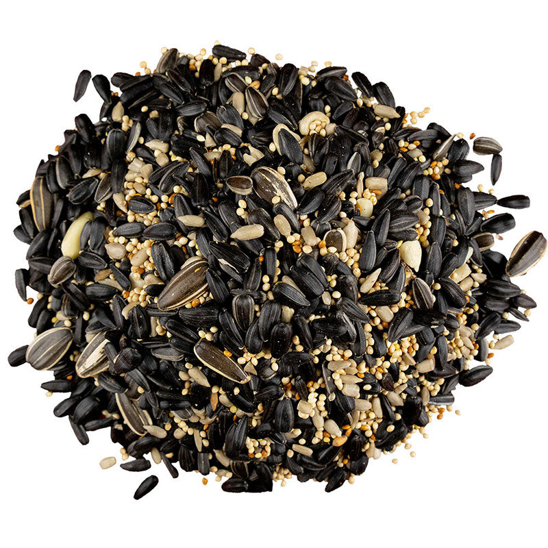 Bird Pro Backyard Blend bird seed