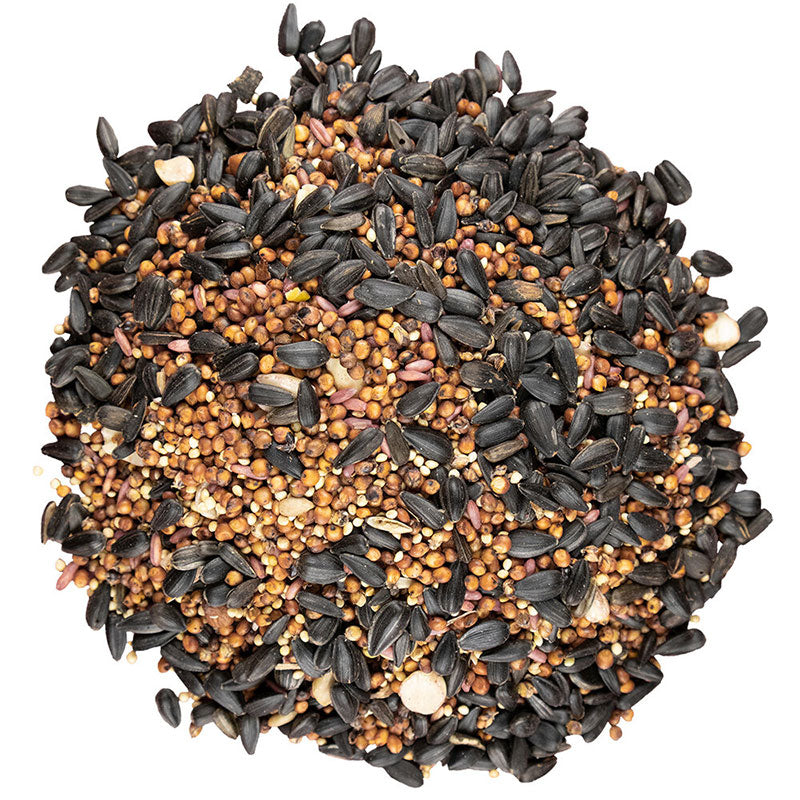 Bird Pro Year-Round Cherry Bonanza bird seed