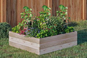 Cedar Raised Garden Bed (36" x 36" x 10.5") in a yard