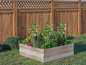 Cedar Raised Garden Bed (36" x 36" x 10.5") in a yard growing plants