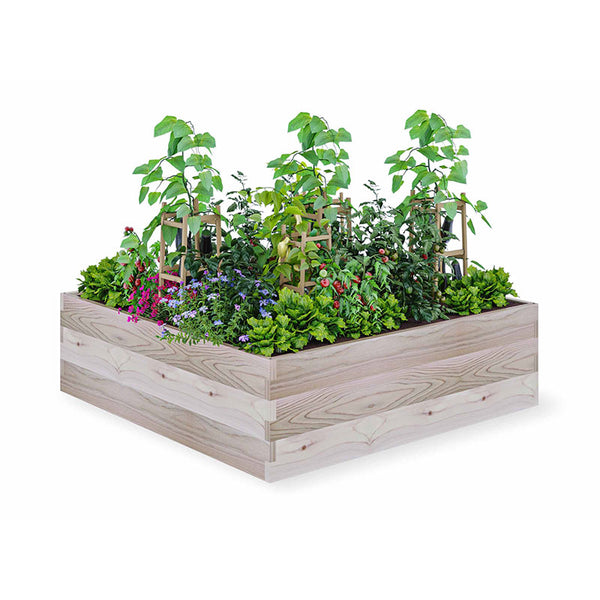 Amazon.com: BIRASIL Outdoor Wood Raised Garden Bed, Elevated