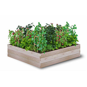 Cedar Raised Garden Bed (45" x 45" x 10.5")