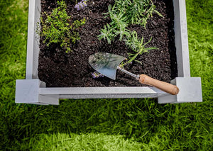 Garden Bed with gardening tool