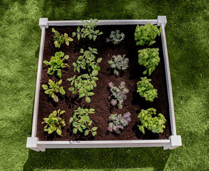 Classic 4x4x11 Garden Bed in yard