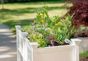 Classic Cambridge Raised Planter with Extension Kit