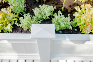 Classic Cambridge Raised Planter with Extension Kit