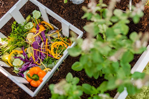 Classic 3x5 Keyhole Composting Garden