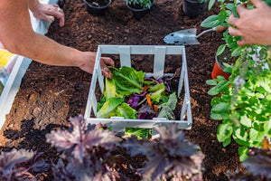 Classic 3x5 Keyhole Composting Garden