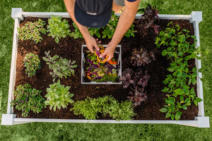 Classic 3x5 Keyhole Composting Garden