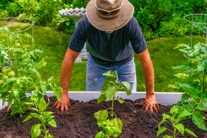 Classic 6x6 Keyhole Composting Garden
