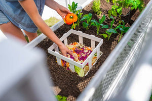Classic 8x12 Keyhole Composting Garden with compost being added