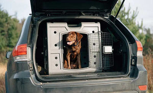 Dakota 283 G3 Side Entry Kennel in the back of a car with a dog inside