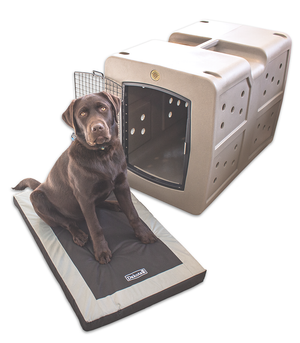 Cut Lab on Dakota 283 kennel mat and g3