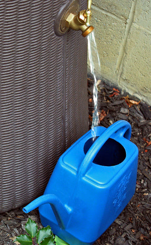 Impressions Bali 50 Gallon Rain Saver with watering can