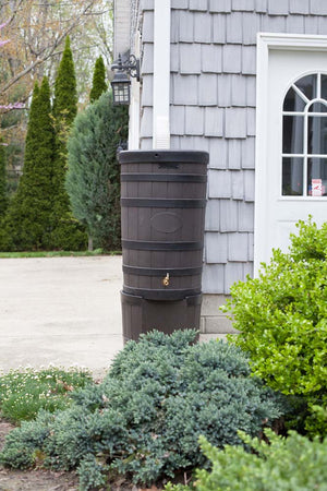 Rain Wizard American Oak with Darkened Ribs and Stand