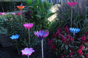 Deep root waterers lined up with multiple lengths and colors