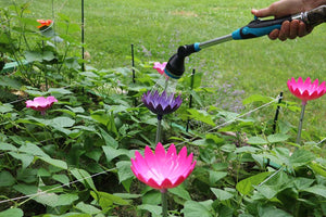 Fucshia Jazmine decorative root waterer being used to irrigate vegetable garden