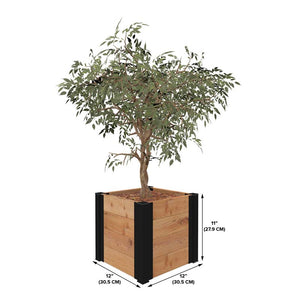 Mezza 12” Cube Planter dimensions