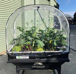Vegepod Winter Cover - Medium