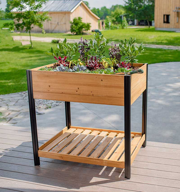 Mezza-30x40-Veg-Farm-6_600x.