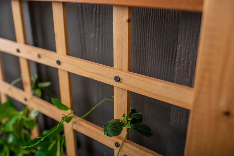 Rosewood Planter with Trellis close up
