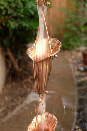 Multiple Cala Lily Cups with rain water flowing