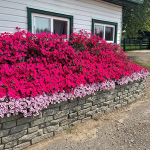 Rock Lock Raised Garden Bed - Straight Rock