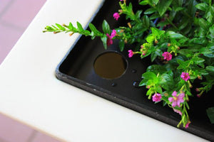Savannah Planter box