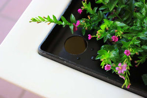 Savannah Planter top