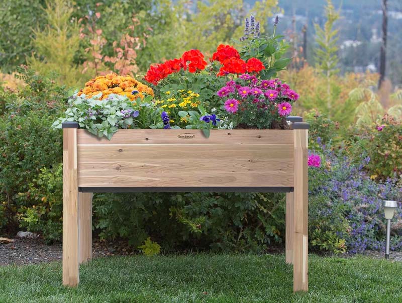 self-watering cedar planter 23 in. x 49 in. x 30 in. H Self-Watering Elevated Cedar Planter